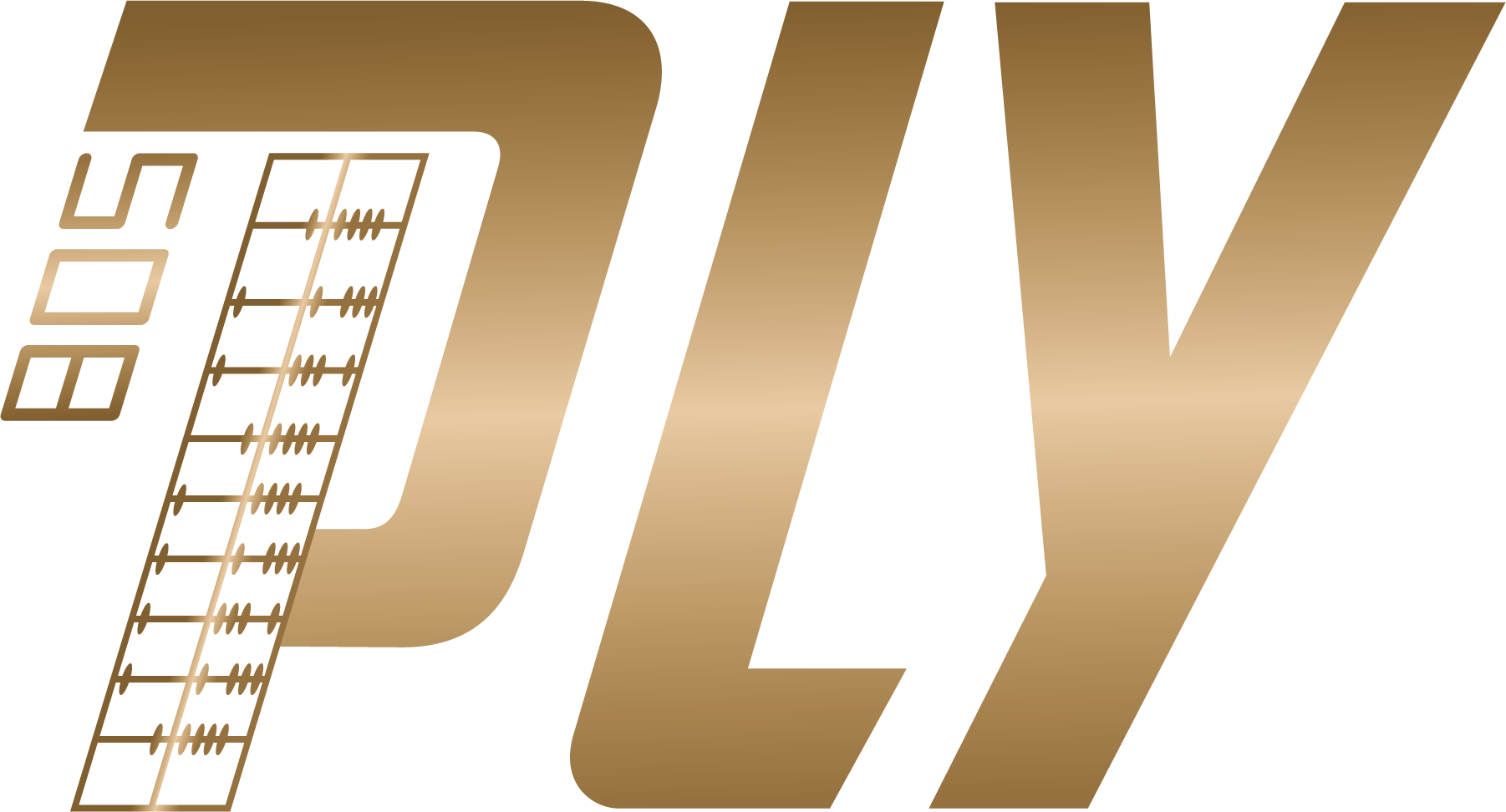 PLY Business Advisory Services